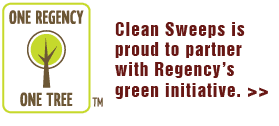Regency Green Initiative - Ann Arbor MI - Clean Sweeps of MI